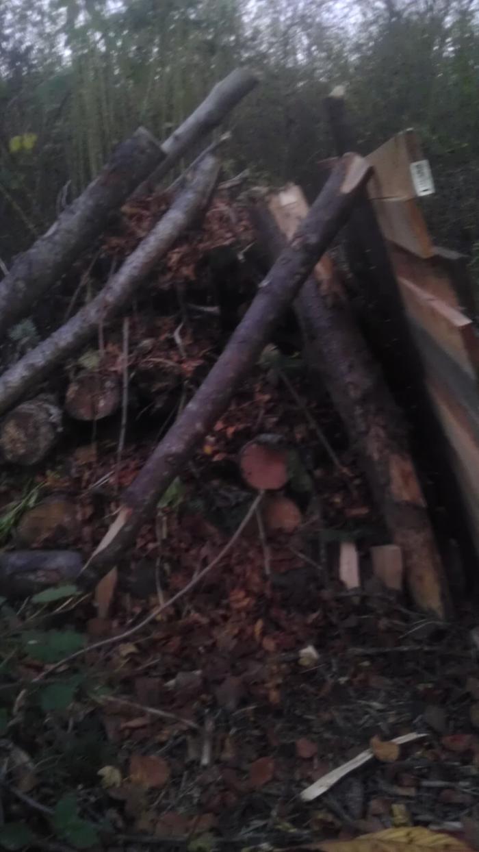 So the bottom layer is the previously pictured log raft made of roughly 6 diameter logs