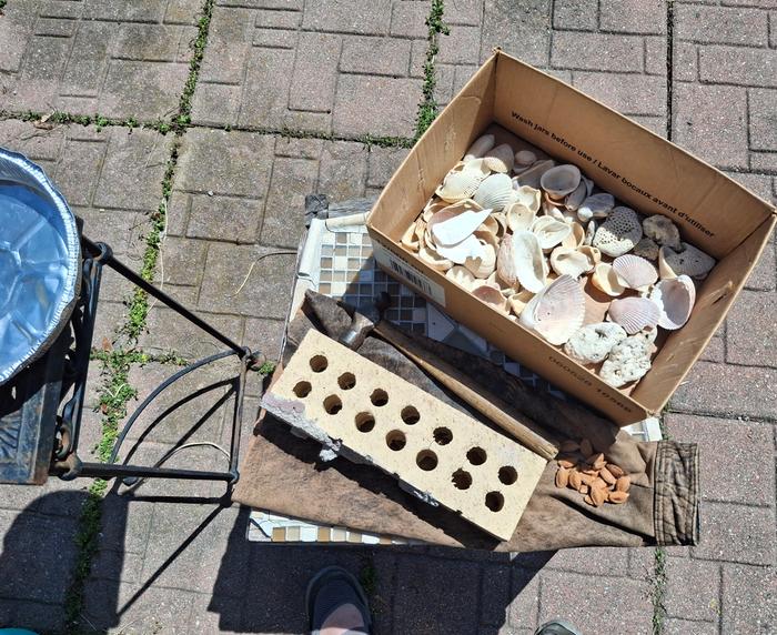 getting ready to smash some shells