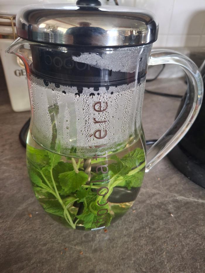 lemon balm tea