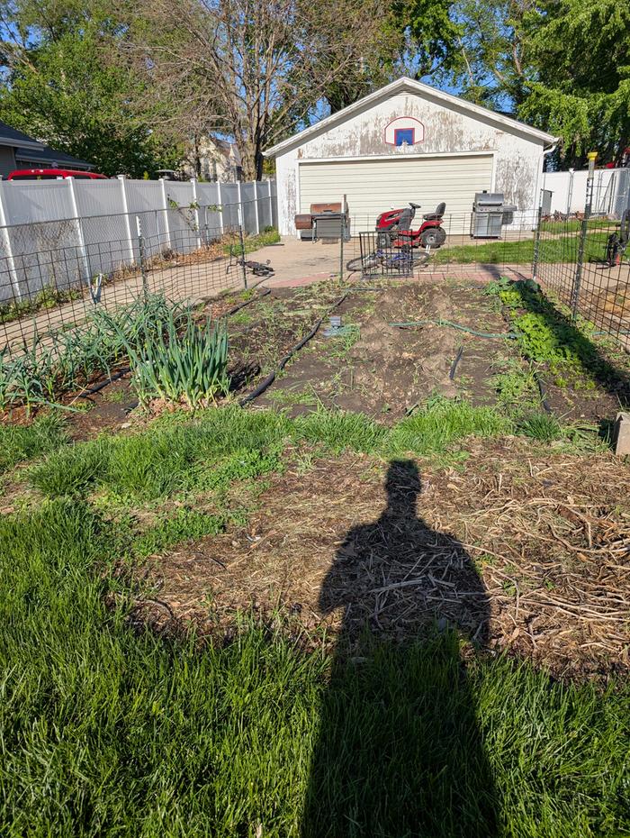 The whole garden