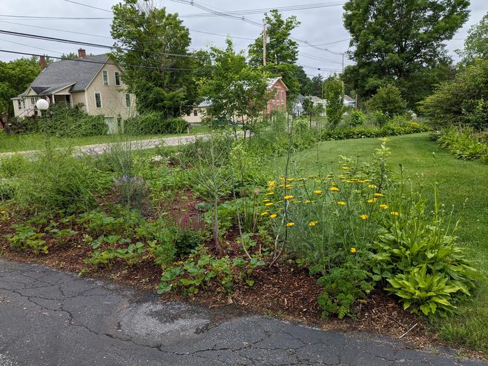 [Thumbnail for front-garden-from-driveway-looking-west.jpg]