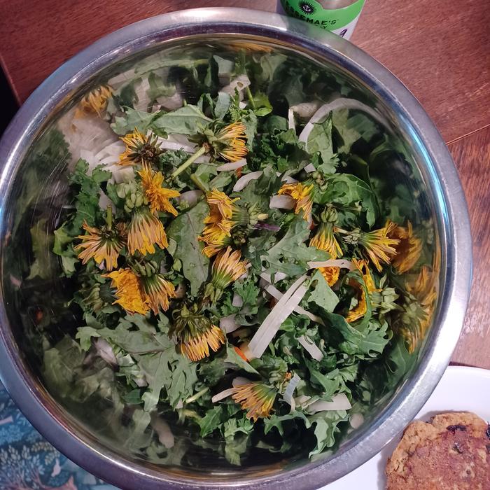 Dandelion..you can eat this