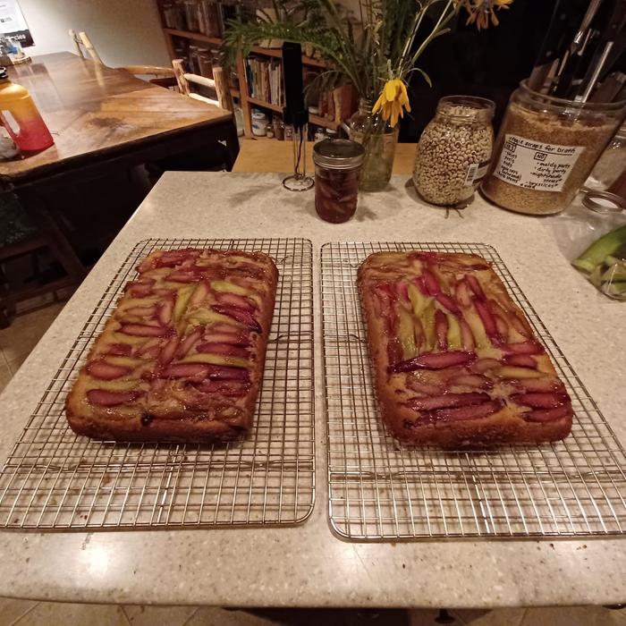 [Thumbnail for Rhubarb-upside-down-cake-(top).jpg]