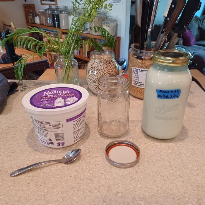 [Thumbnail for ingredients-for-yogurt.jpg]