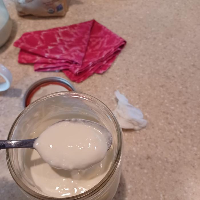 [Thumbnail for Yogurt-consistency.jpg]
