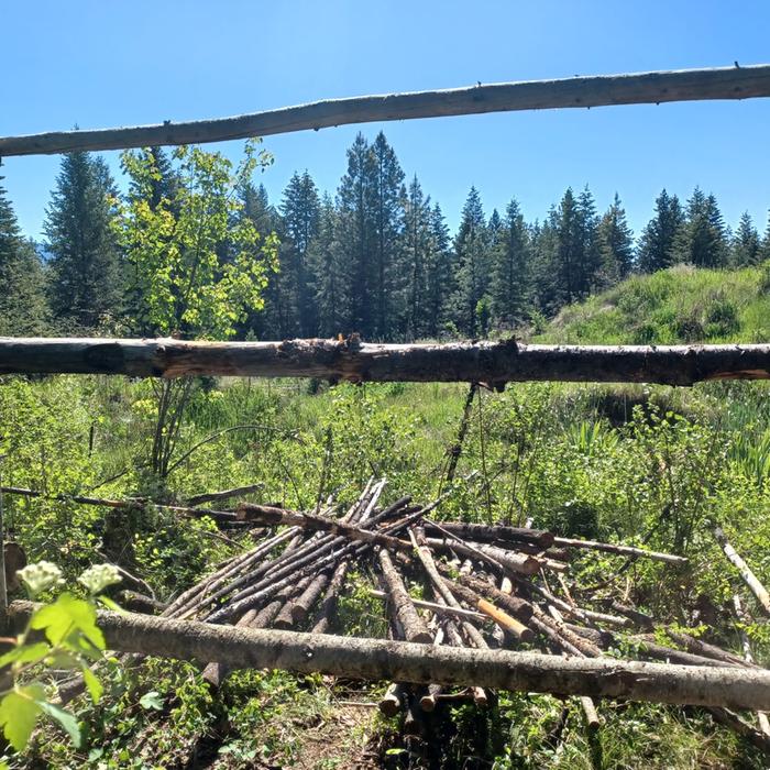 [Thumbnail for Junk-pole-fence-poles-removed.jpg]