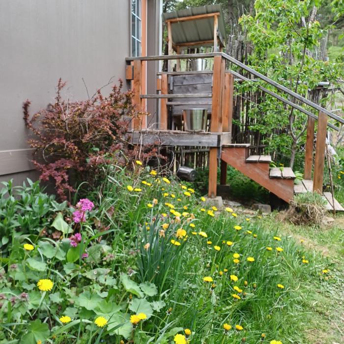 [Thumbnail for A-place-for-rest-back-porch.jpg]