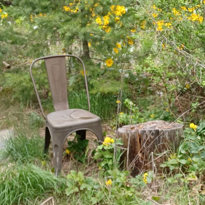 [Thumbnail for A-place-for-rest-Chair-and-flowers.jpg]