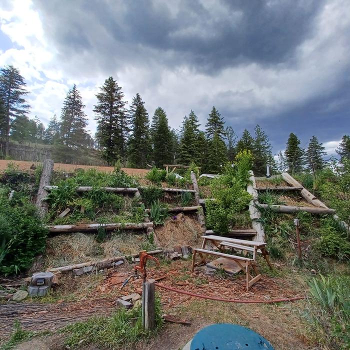 hugel berm backyard with scaffold and picnic table