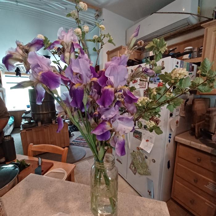 [Thumbnail for 16.-flowers-from-the-garden.jpg]