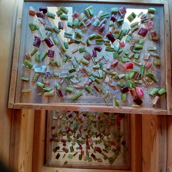 [Thumbnail for Rhubarb-Candy-(close-up).jpg]