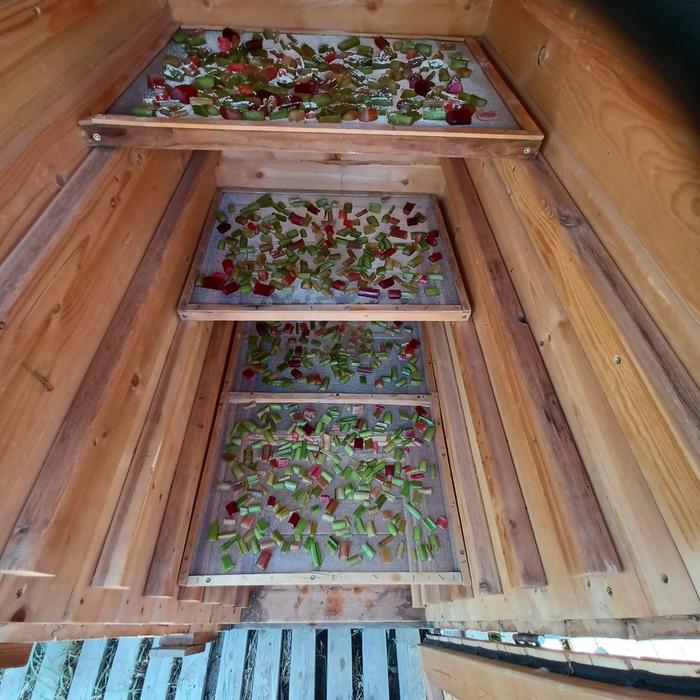 [Thumbnail for Rhubarb-Candy-(4-trays).jpg]