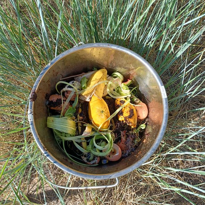 Compost