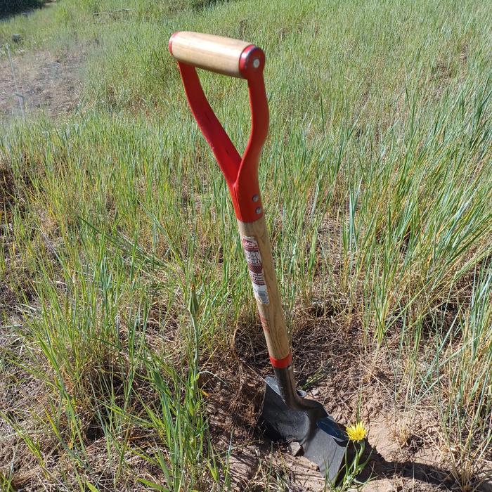 Shovel