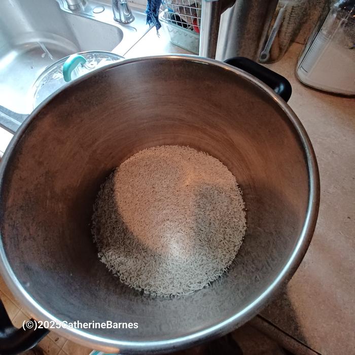 [Thumbnail for bb-2-cups-of-rice-in-pot.jpg]
