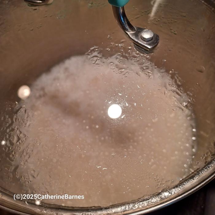 [Thumbnail for bb-rice-cooking.jpg]