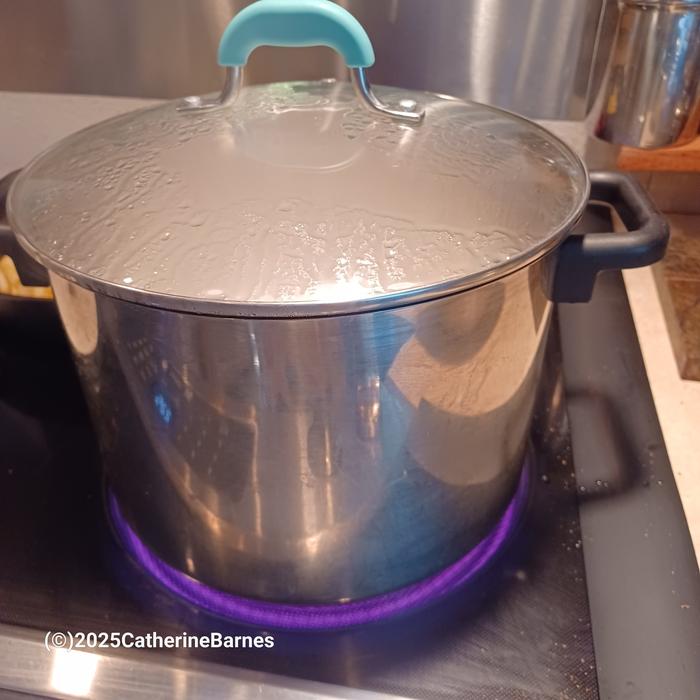 [Thumbnail for bb-rice-on-stove.jpg]