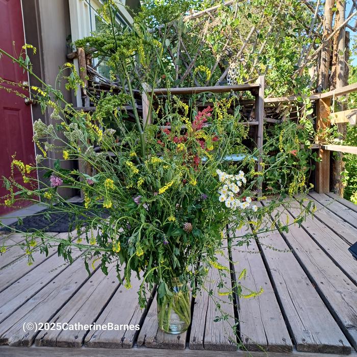 Flowers on a wood deck