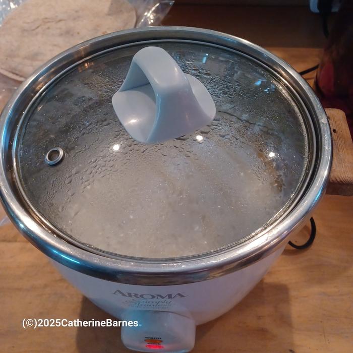 [Thumbnail for BB-Rice-cooking-in-rice-cooker.jpg]