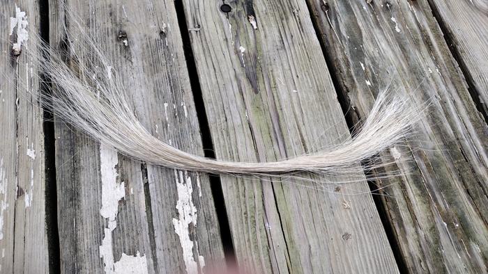 [Thumbnail for IMG_20250515_114100146.jpg]