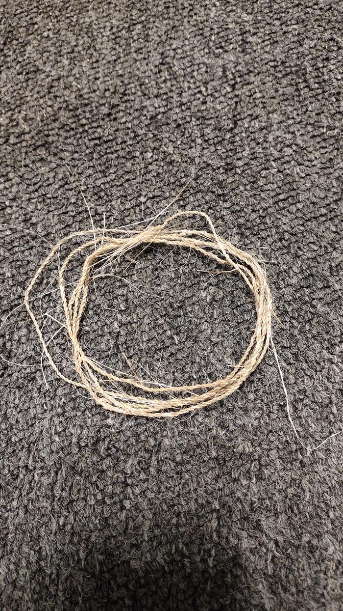 [Thumbnail for IMG_20250514_174043810.jpg]