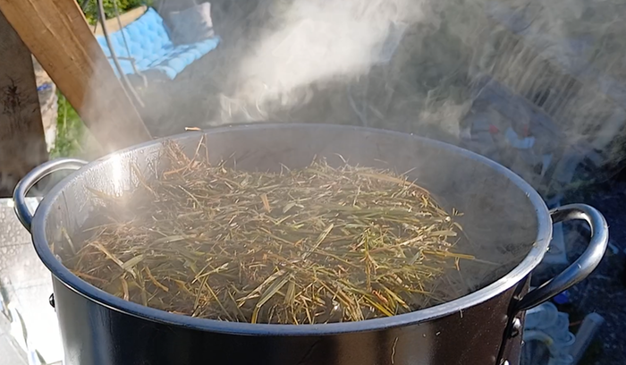 sterilising grass in a solar cooker