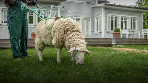 [Thumbnail for sheep-mower.jpg]