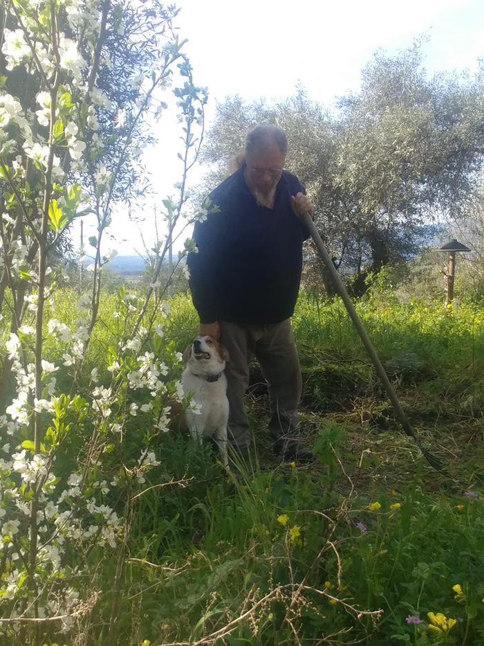 [Thumbnail for man-and-sheepdog.jpg]