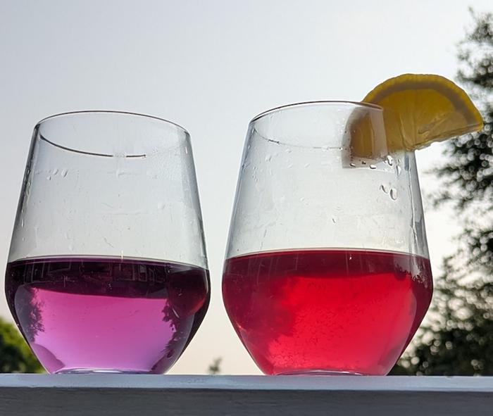 Bronze fennel tea, without (L) and with (R) lemon