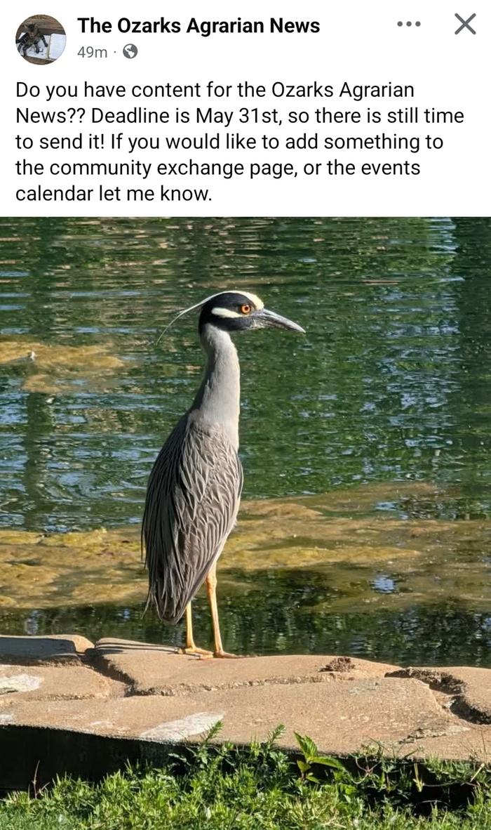 [Thumbnail for Screenshot_20250525_084233_Facebook.jpg]