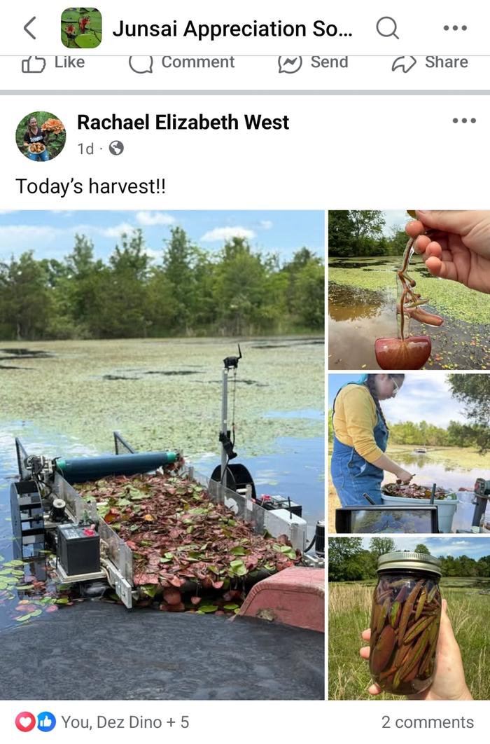 [Thumbnail for Screenshot_20250525_093758_Facebook.jpg]