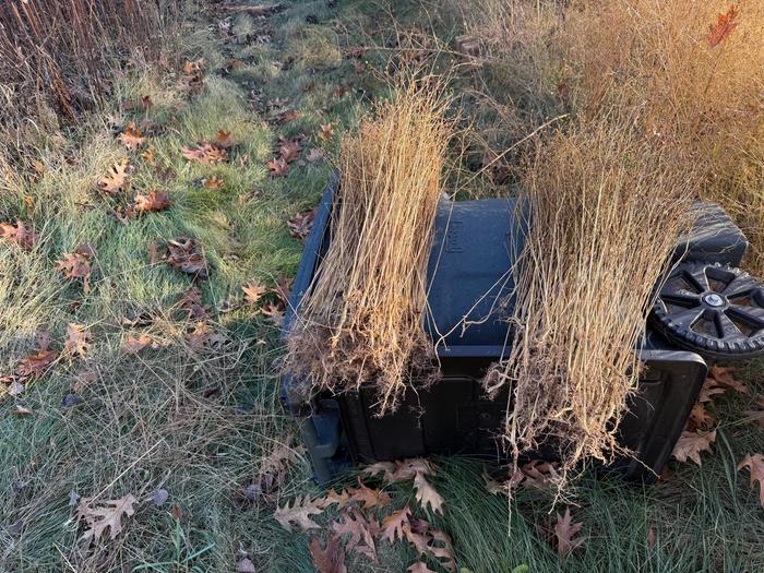 Sorting into three piles