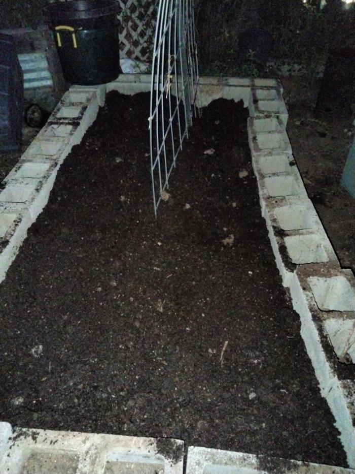 Ready to plant 