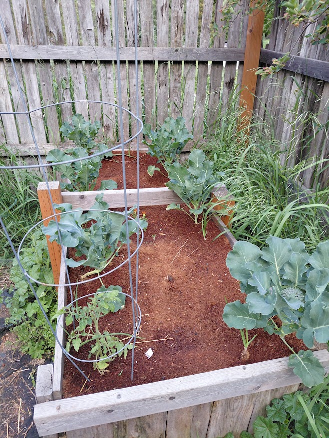 [Thumbnail for 20250603_070731.jpg]