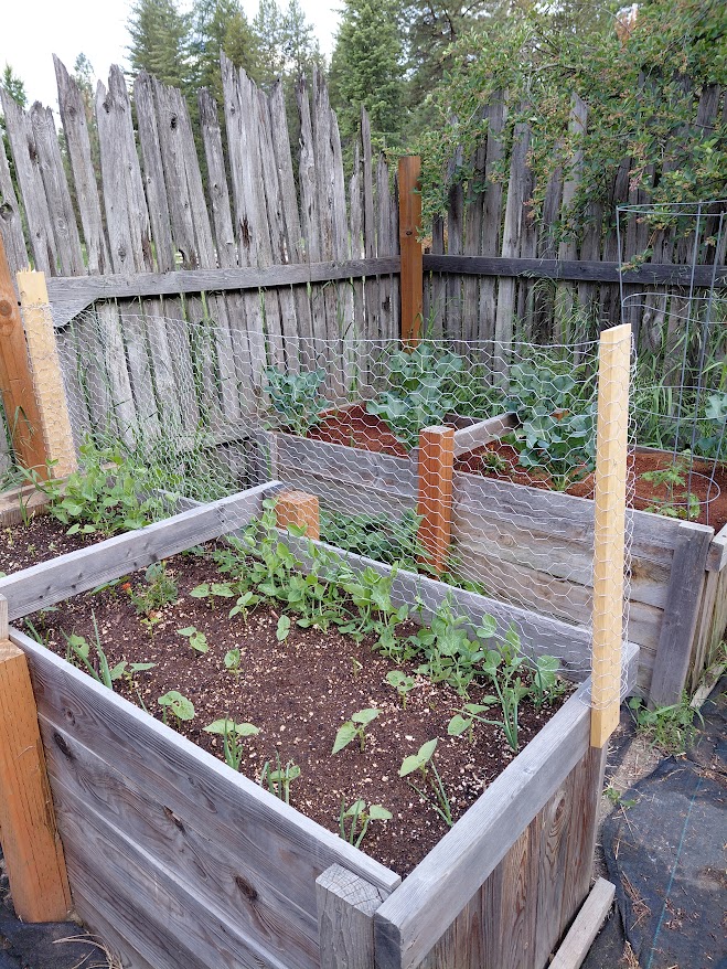 [Thumbnail for 20250603_070710.jpg]