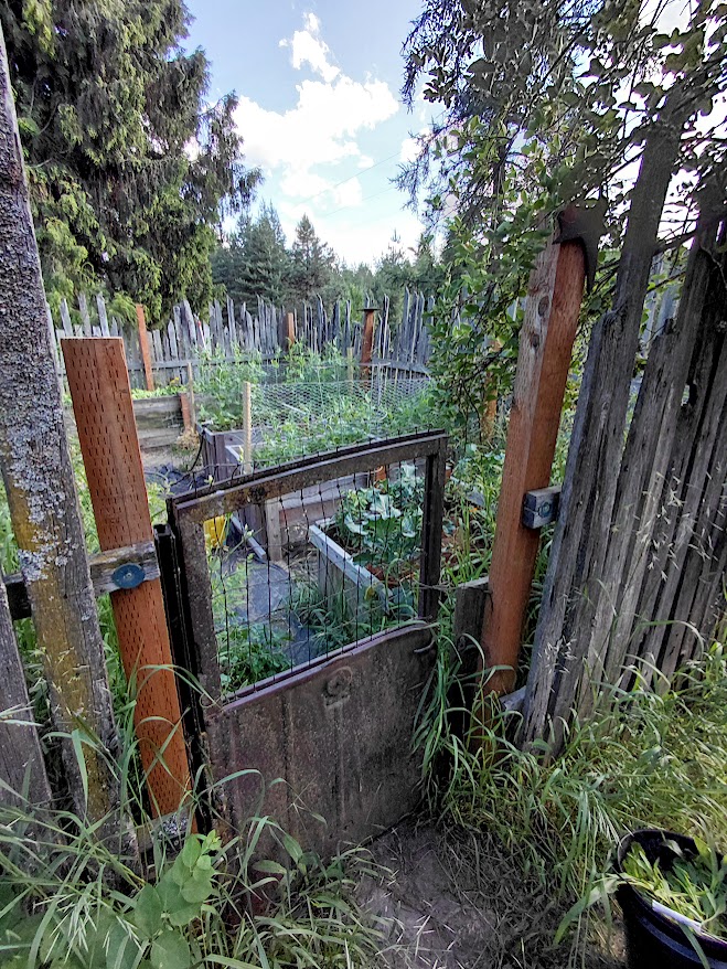 Model A gate