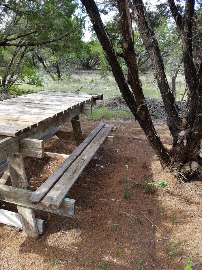 Clearing just the low branches makes the space useable