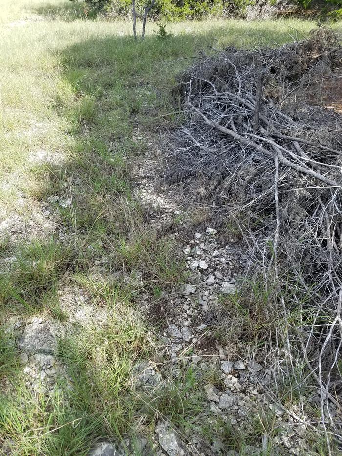 Exposed rock outside the original drip line 