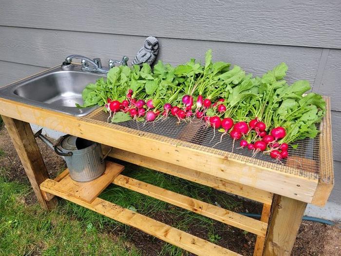 An outdoor sink with drying rack and a bunch of clean radishes