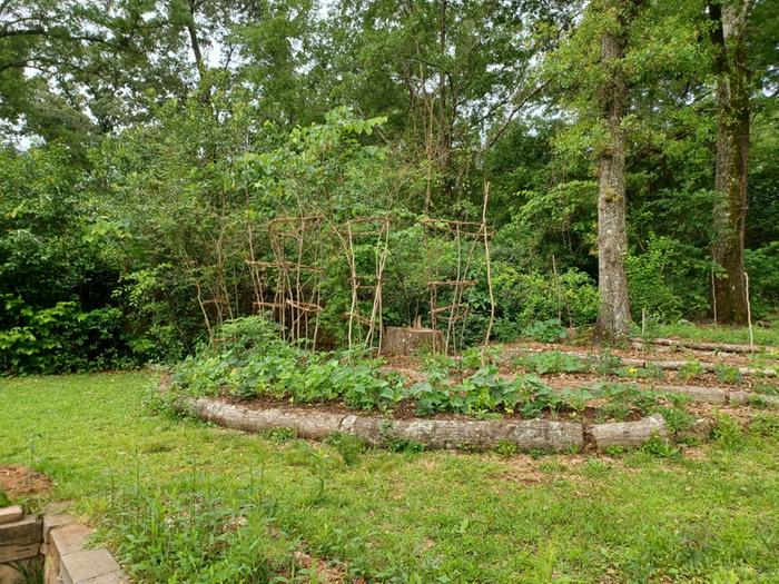 Tomato cages woven from saplings and stick wreaths