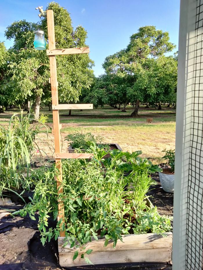 The side of the wood Tomato cage