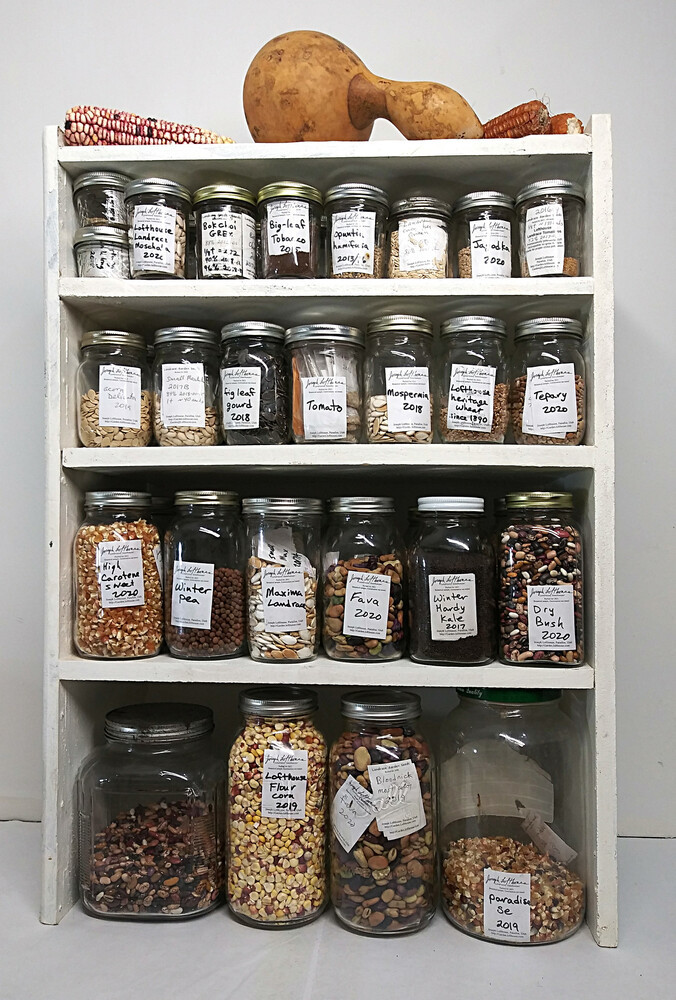 seed storage