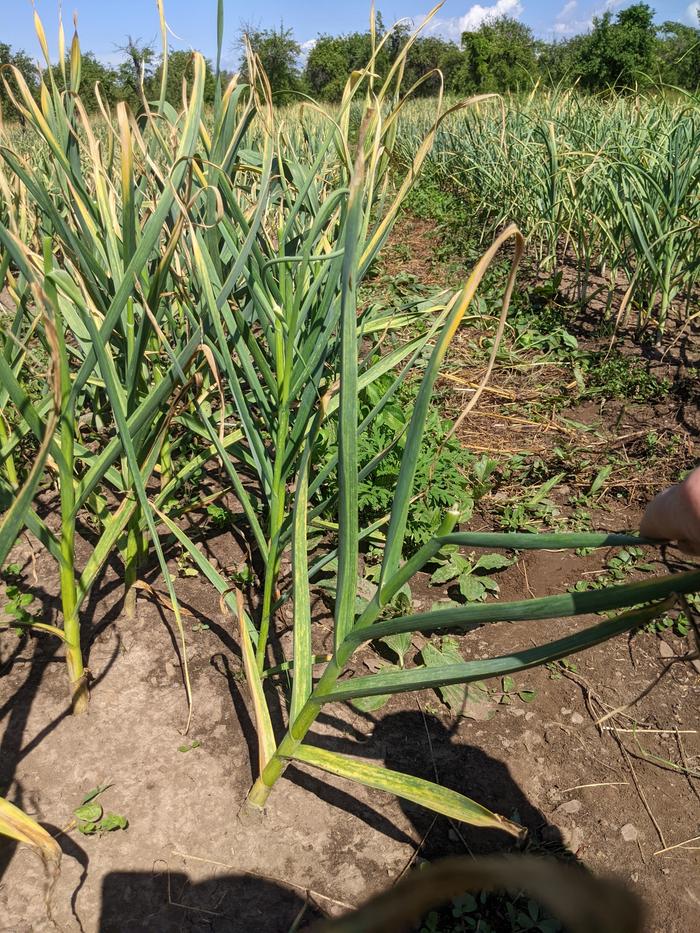 [Thumbnail for PXL_20220623_194621164.jpg]