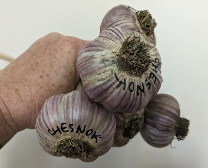 [Thumbnail for PXL_20230920_165634389-2.jpg]