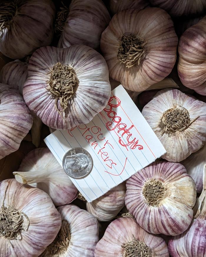 [Thumbnail for PXL_20230914_160317548-3.jpg]