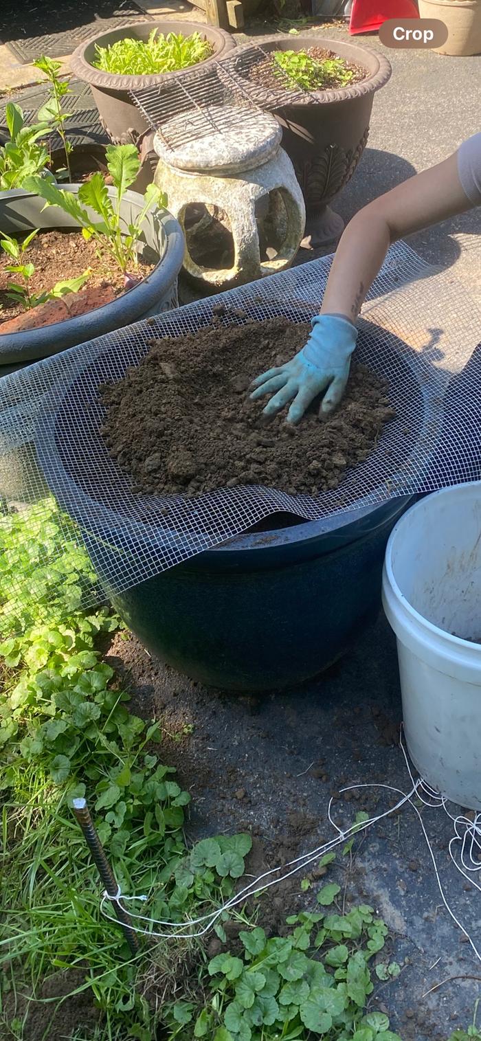 Screening gravel