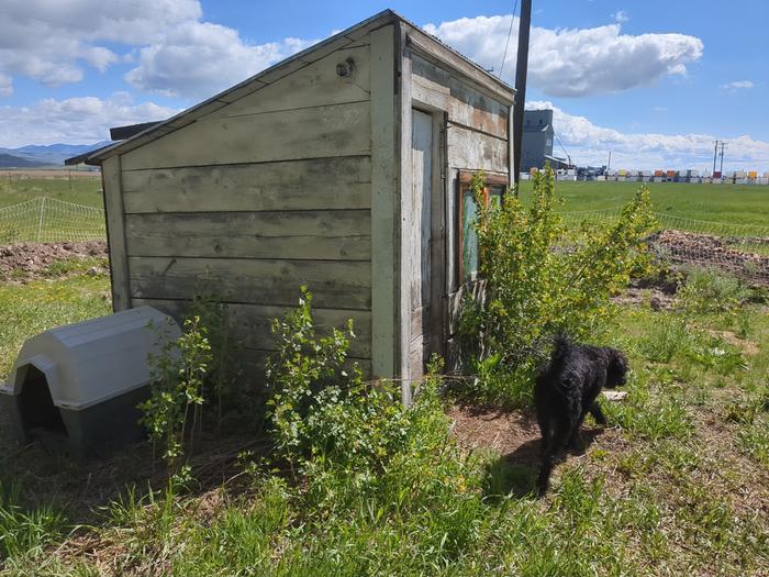 Here's the shed from the outside before cleanup.