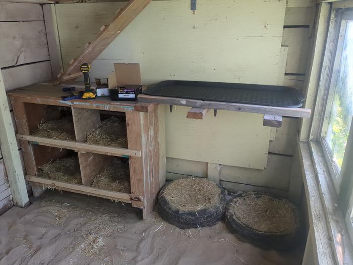 Added sand, some tire nests, and a poop shelf to cover the tire nests that is made out of a boot tray.