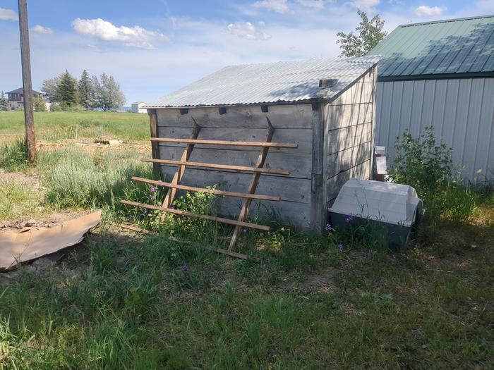 I pulled the roosts out of the old barn and leaned them up against the coop. They were much larger than I expected.