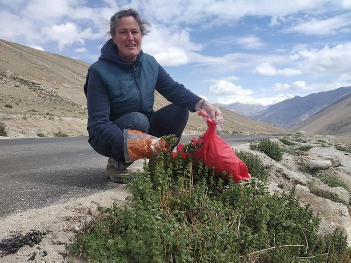 Using bread bag and shopping bags to collect nettles